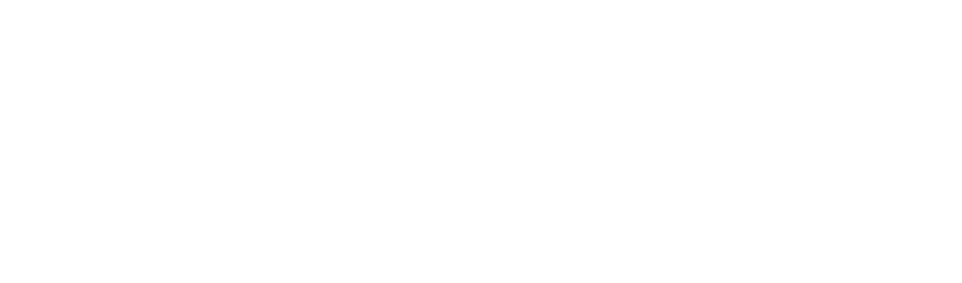 SYNDIK PRO
